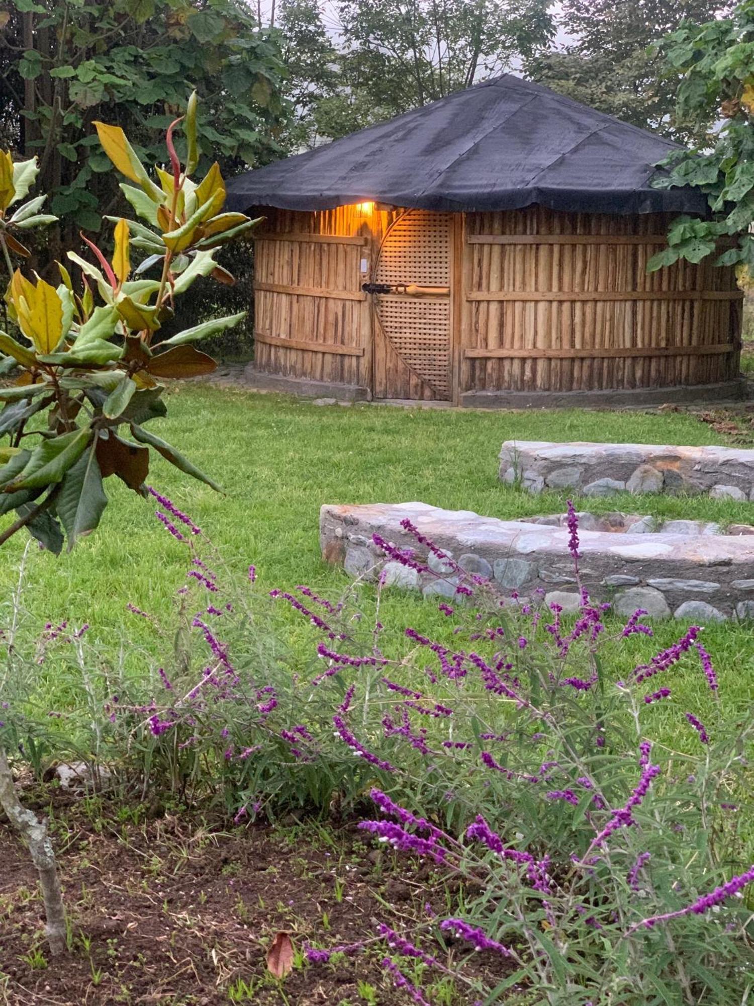 Hostal La Laguna Villamaria Екстер'єр фото