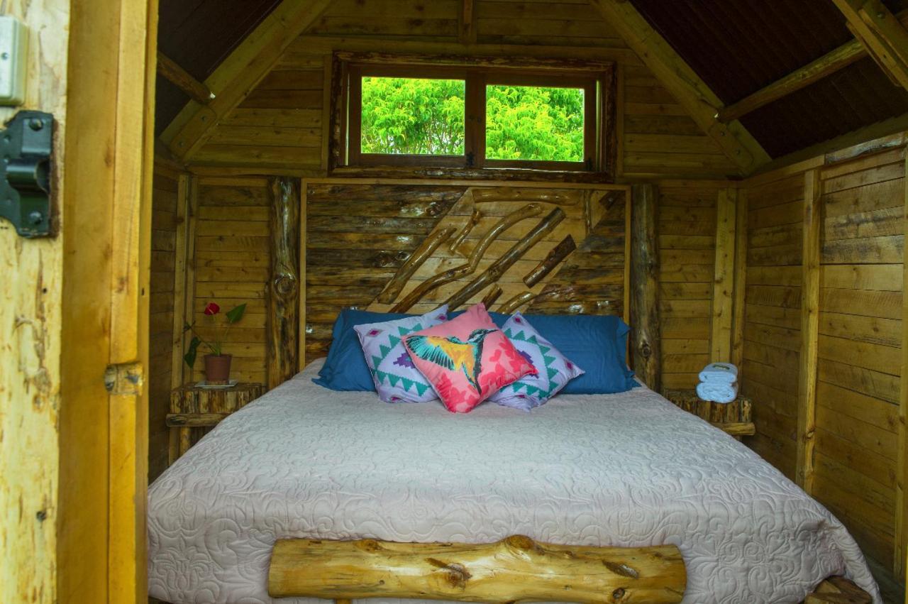 Hostal La Laguna Villamaria Екстер'єр фото