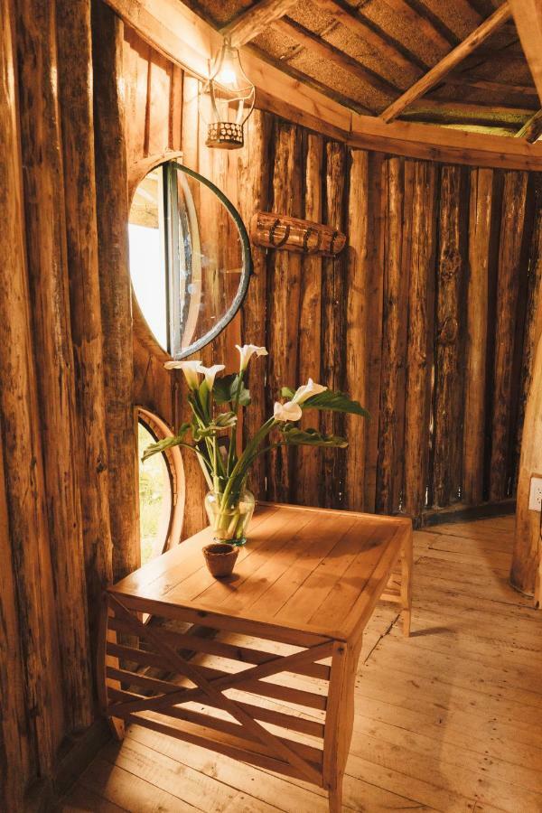 Hostal La Laguna Villamaria Екстер'єр фото